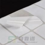 Customized Adhesive Film Label Sticker PET Label PET Sticker for Thermal