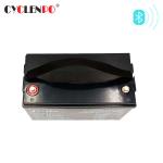 High Energy Density Bluetooth Lithium Battery Long Cycle Life For Caravan And