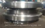 F5a Alloy Steel Metal Forgings / Body Forged Steel Valves / Rod Forgings