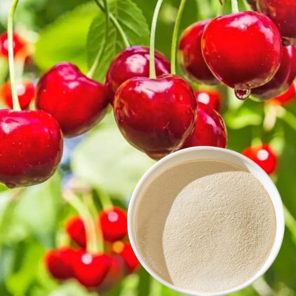 Mn Amino Acid Powder Fertilizer Natural Organic Material Extracted For Seed