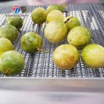 350KG Vegetable drain air drying machine stainless steel fruit and vegetable air