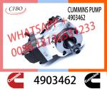 cummins Diesel Engine parts Cmmins QSL8.9 Fuel Pump 3973228 4954200 4921431