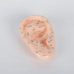 26CM Single Ear Acupuncture Body Model For Chinese Medical Teaching