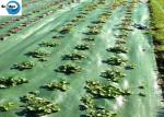 Heavy Duty Landscape Weed Control Fabric with Precut 6" Hole Spacing Perfect