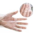 Biodegradable Disposable Gloves , Disposable Plastic Gloves OEM / ODM Available