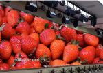 HD SMD LED Die-Cast Aluminum Screen 62500 Dots/Sqm , Indoor LED TV Wall Rental