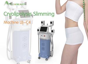 Wholesale cryolipolysi slim machine from china suppliers