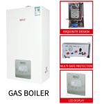 Gold Shell Wall Mounted Gas Boilers Energy Saving Lpg Instant Hot Water System