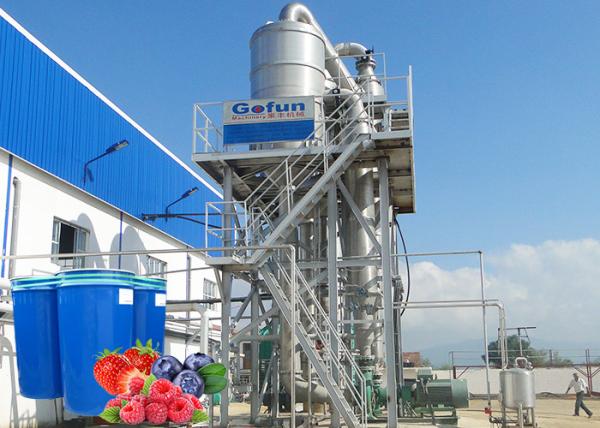 Tailored Blueberry Juice And Jam Manufacturing Line Complete SUS304 Berry