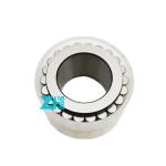 Double Row Gear Box Full Complement Cylindrical Roller Bearing CPM2686 25X40