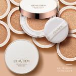 100ml BB Cream Air Cushion Foundation Natural Coverage For Face Cosmetics Make