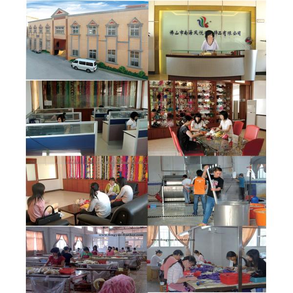 OEM Goose Feather Flowers With Biot , Dyed Pattern Feathers Millinery Supplies