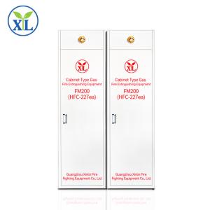 Wholesale Electrical FM200 Decorative Fire Extinguisher Cabinets With Hfc-227ea Automatic Extinguisher from china suppliers