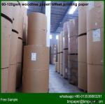 Ivory Woodfree Offset Paper Cardboard / Fbb Board
