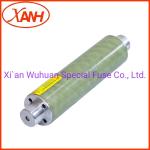 Indoor Using Bayonet Fuse Holder DIN IEC Xrnt Sfldj-7.2/80 High Performance