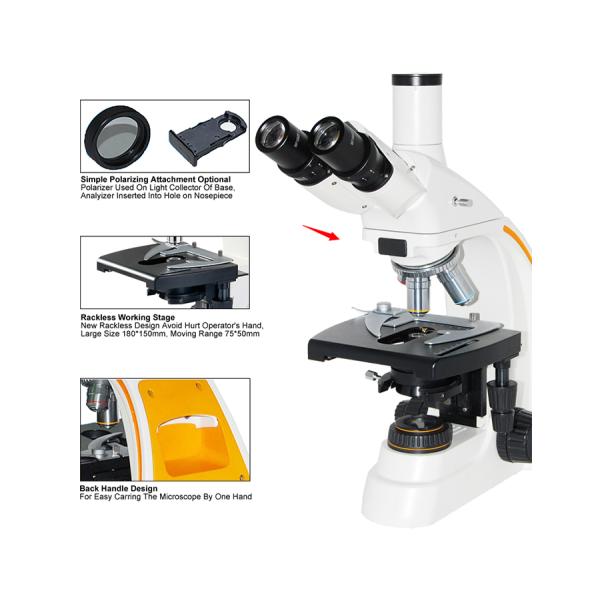 12V 20W Halogen Lamp Biological Microscope Binocular A12.0205 WF 10X Eyepiece