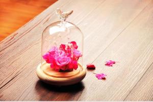 Wholesale glass dome for display decorations with base wood from china suppliers