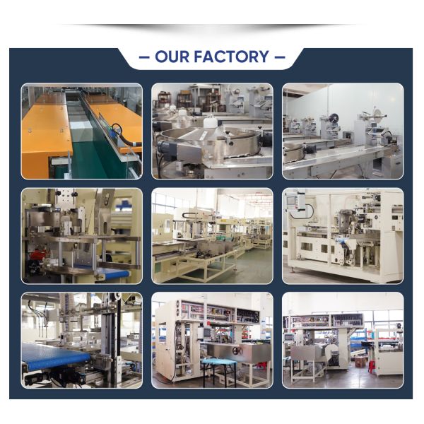 Powder Rotary Premade Bag Packing Machine 220V/380V For Stand Up Pouch