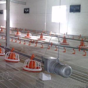 Wholesale 220V 50Hz Automatic Broiler Feeding System 2.2KW Stainless Steel from china suppliers