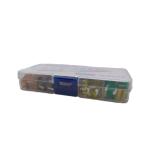 100Pcs Assorted Car Truck Low Profile Mini Fuse Micro Blade Fuse Set Kit Car