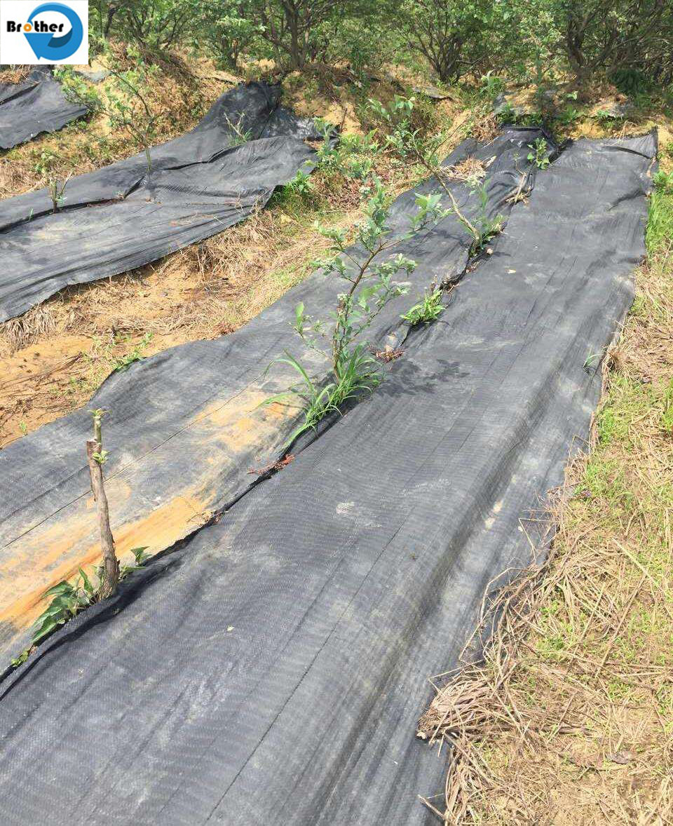 Heavy Duty Landscape Weed Control Fabric with Gardening Weed Blocker Barrier Ground Cover