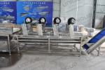 Hot Air Roller Belt Mesh Conveyor High Pressure Fans Air Dryer for Fruit and