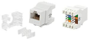 Wholesale Category 6 Keystone Jack RJ-45, Unshielded, White from china suppliers