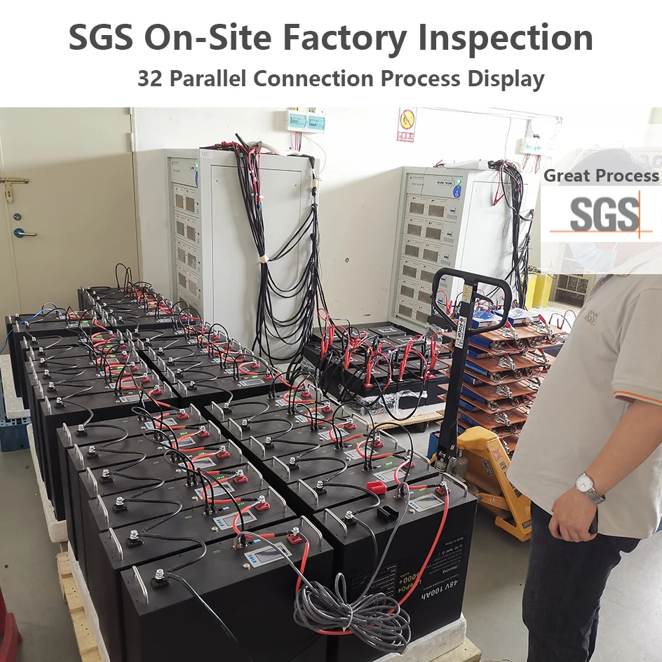 48V 120Ah 6Kwh LiFePO4 Battery 51.2V 100Ah 60Ah 6000+ Cycles