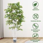 Ornamental Plant Artificial Radermachera sinica Indoor Landscape Natural