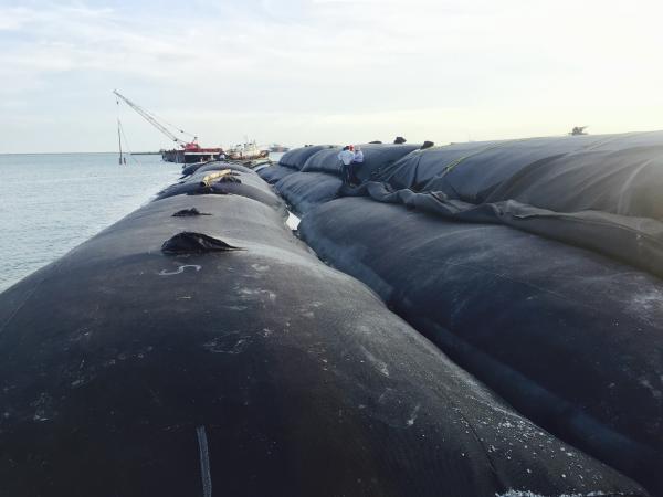 High Strength PP Woven Geotube Breakwater GT500-GT1000 for Marine Dredging
