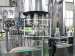 100% Factory for sale Siemens touch screen Control Fizzy Water Washer Filler