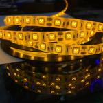 nexillumi led strip lights RGB color changing 12v 24v DC CE RoHS ETL SAA