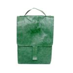 Eco-friendly Dupont Picnic Cooler Bag Waterproof Tyvek Paper Insulated Lunch Bag