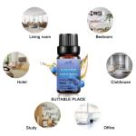 100% Pure Perfume Juniper Berry Fragrance Oil 10ml COA For Air Freshening