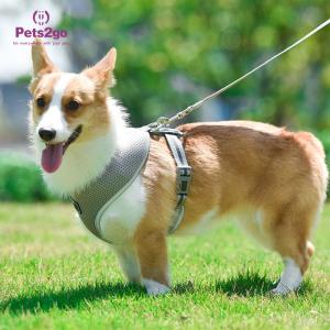 Wholesale Lightweight Best Dog Harness For Puppies Cute Puppy Harness Dog Harness For Hiking from china suppliers