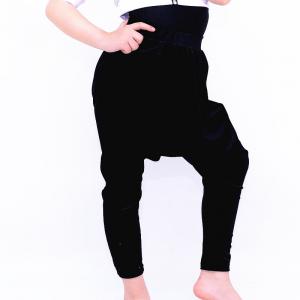 China Spandex Hip Hop Dance Costumes Velvet Girls Harem Pants For Street Performance on sale