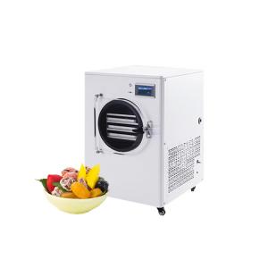 China freeze dryer thailand home-freeze-dryer home food freeze dryer on sale