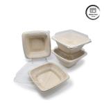 9 Inch Biodegradable Clamshell Takeout Containers Eco Friendly Disposable Food