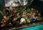 ISO 9001 400V Organic Automatic Garbage Sorting Machine