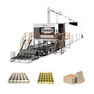 Wholesale Waste Paper Egg Box Making Machine Fully Automatic High Efficiency from china suppliers