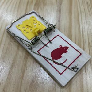 Wholesale Wooden Household Rat Mouse Mice Trap Catcher Killer Disposable and Pest Type Mice from china suppliers