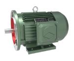 Cast Iron Induction 3 Phase AC Induction Motor 1.5kw 2hp 2 Pole Premium