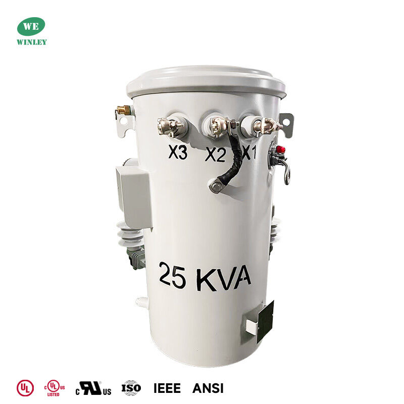 100kVA 34.5kV Single Phase Pole Mounted Transformer for Rural Distribution