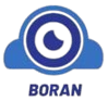 China Shenzhen Boran Technology Co., Ltd. logo