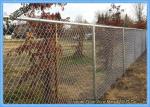 Galvanized Chain Link Fence Privacy Fabric / Mesh Fabric High Carbon Steel Wire