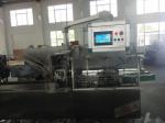 Widely Used Automatic Cartoning Machine for large box ( L220mm*W100mm*H70mm)