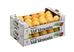 Recycled Vegetables Packing Boxes Flute Corrugated Paper Matt Lamination