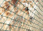 PVC Coated Hot Dipped Galvanized Chain Link Fence 1mx30m Roll