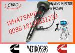 Fuel Injector Assembly 2867147 2882077 4955524 Y431KO5393 2882078For Qsk19