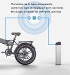 250W Bicycle Lithium Battery IP67 48v Ebike Battery Rechargeable Batteries